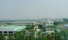 公司全景 公司全景